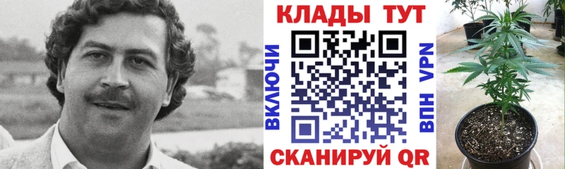 Где купить наркоту Каргат А ПВП Меф ГАШ