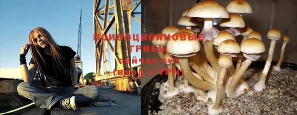 каннабис Алексин