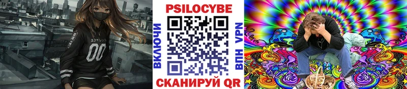 Псилоцибиновые грибы Psilocybe  OMG ТОР  Каргат 