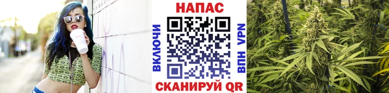 МАРИХУАНА сатива Каргат